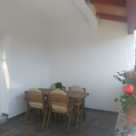 Apartment Ivana Novigrad Istria المظهر الخارجي الصورة