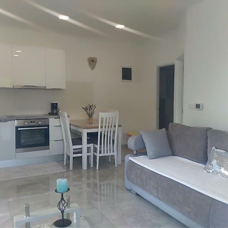 Apartment Ivana Novigrad Istria المظهر الخارجي الصورة