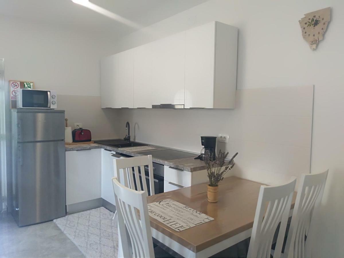 Apartment Ivana Novigrad Istria المظهر الخارجي الصورة