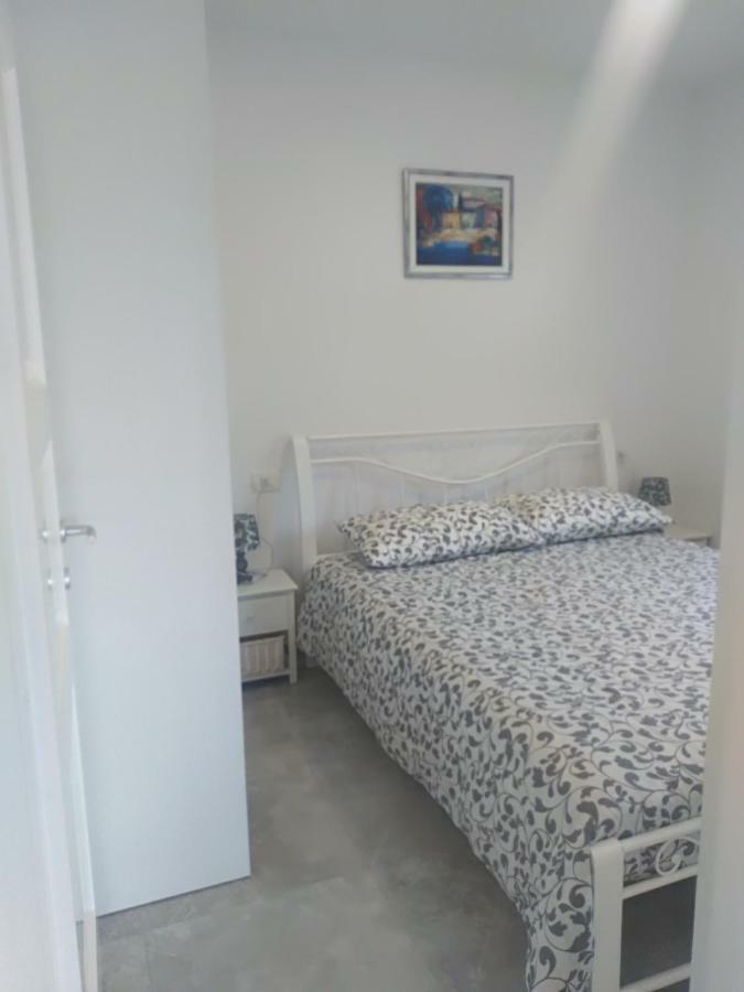 Apartment Ivana Novigrad Istria المظهر الخارجي الصورة