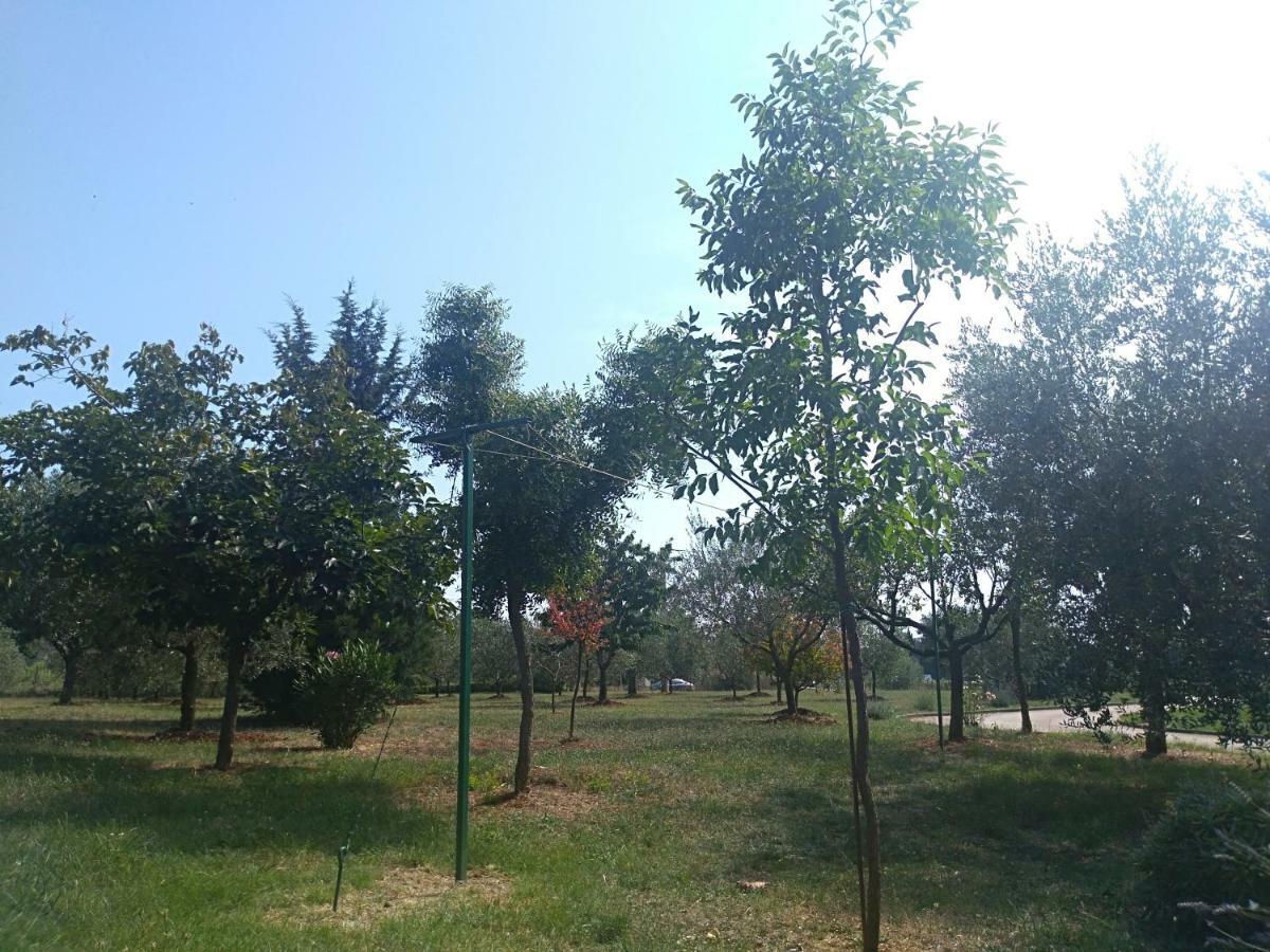 Apartment Ivana Novigrad Istria المظهر الخارجي الصورة